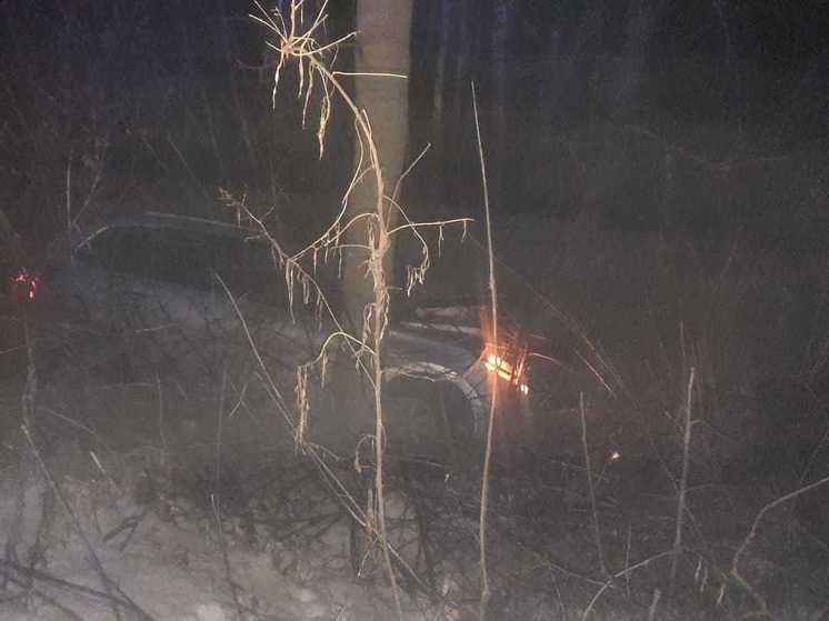 Под Тулой очень пьяный водитель «Лады» улетел в кювет и врезался в дерево