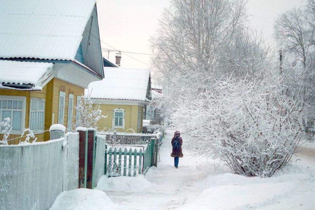 В Подмосковье сильно подскочила стоимость земельных участков