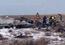 Депутат Госдумы Делягин назвал крушение самолета под Актау «вторым малайзийским Боингом»