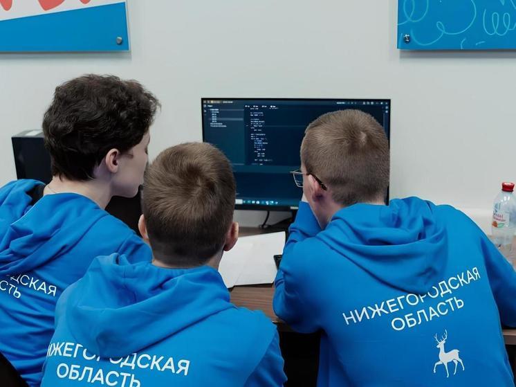 В Нижегородской области лучше всех поддерживают IT-компании