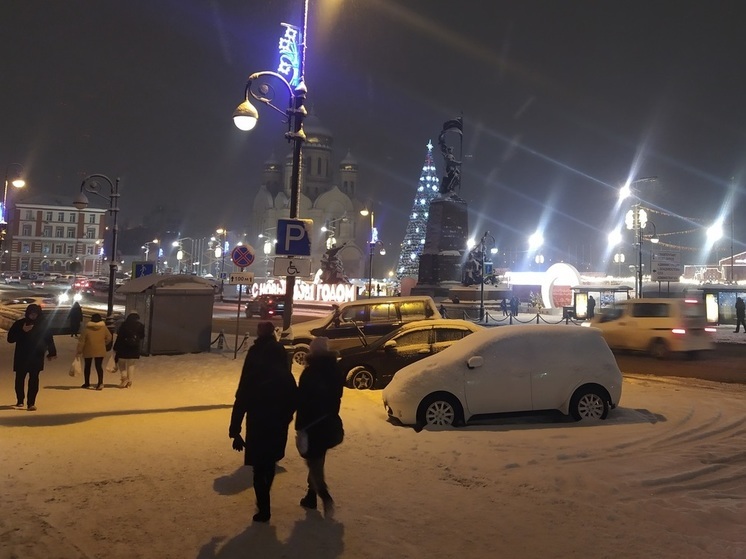 Владивосток ждет слабый снег на Новый год: снежный подарок от природы