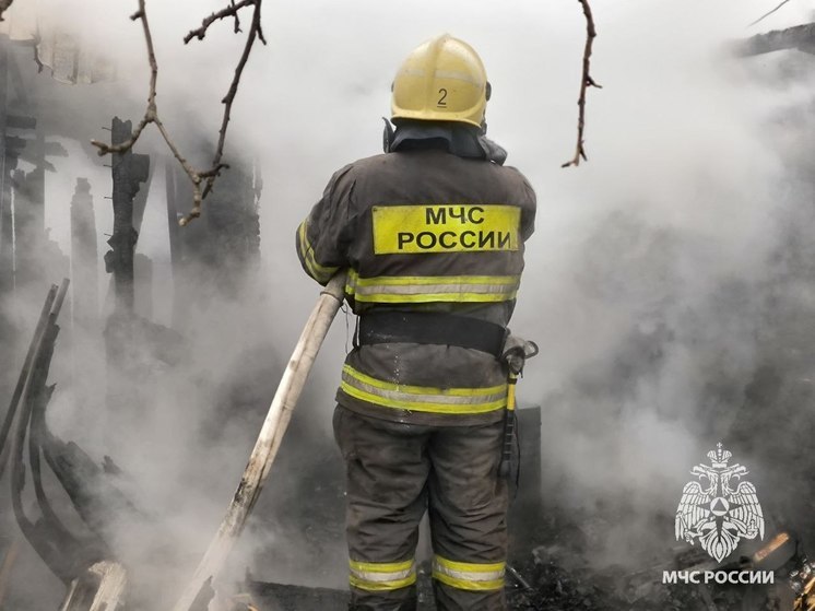В Пензенской области за сутки пожарные трижды тушили пожары