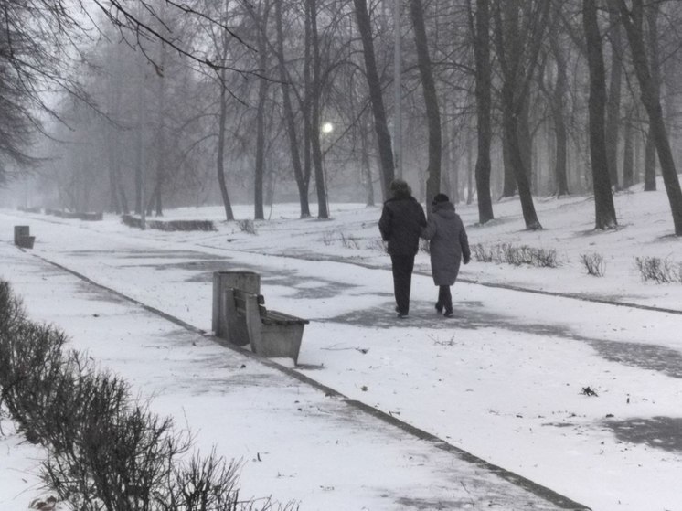 Усиление ветра до 17 метров в секунду ожидается в Карелии