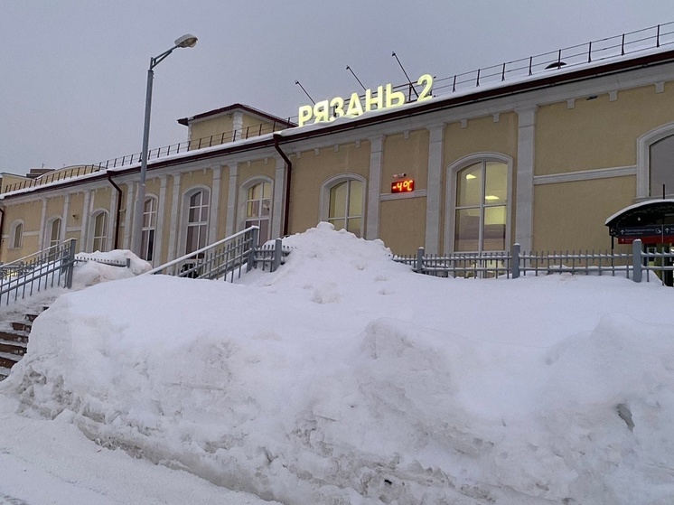 В новогодние праздники между Рязанью и Москвой пустят дополнительные экспрессы