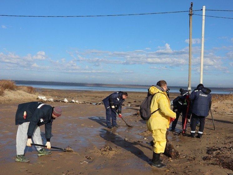  Режим ЧС федерального уровня объявят из-за разлива мазута в Черном море