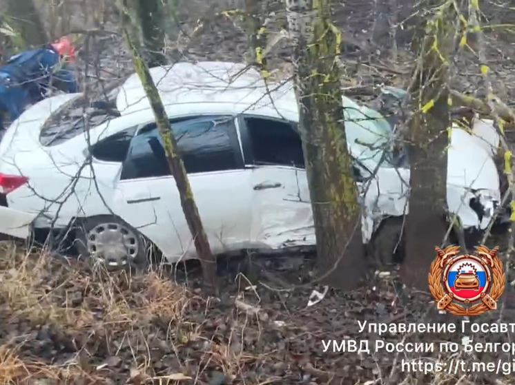 В Старооскольском округе иномарка на большой скорости влетела в дерево