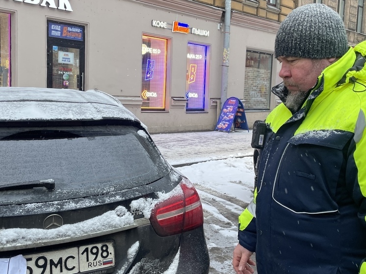 Инспекторы проверят парковки во дворах Петербурга в новогодние праздники