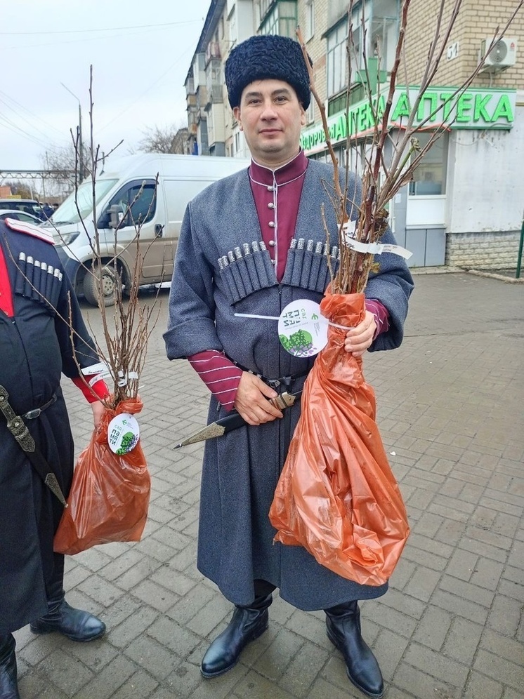 Казаки передали саженцы плодовых деревьев семьям участников СВО в Запорожье