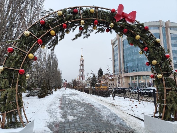 Фокус с солью: чем на самом деле в Тамбове посыпают тротуары