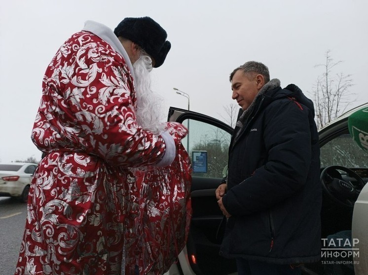 Предновогодние рейды запланировала Госавтоинспекция Татарстана