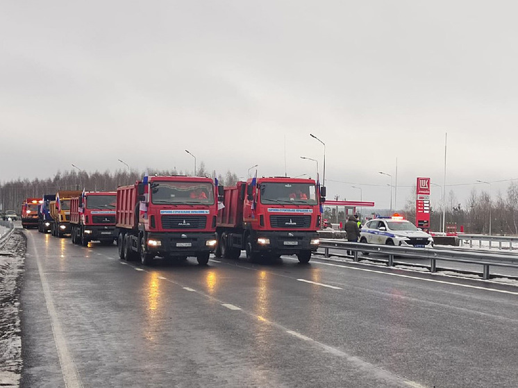 В Тамбовской области открыт новый путепровод на трассе Р-208