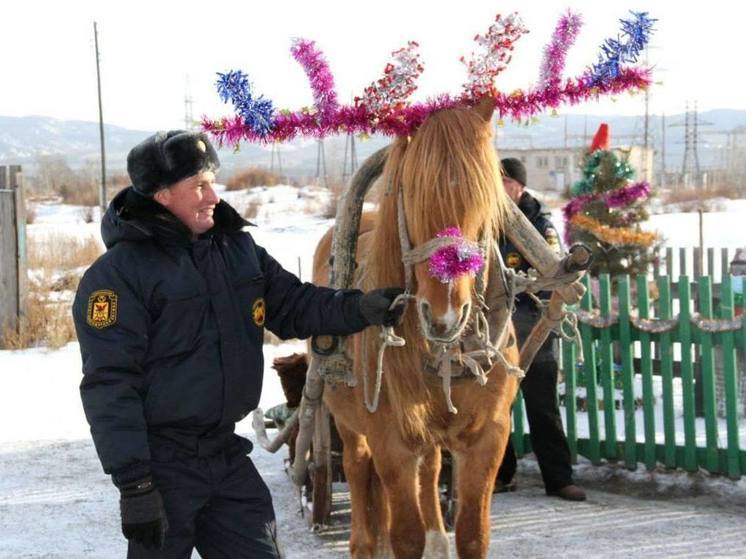 Коня Гошу нарядили оленем на Новый год в селе Забайкалья