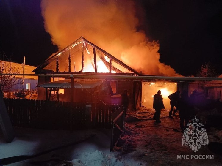 В Омской области из-за гирлянды сгорел частный дом