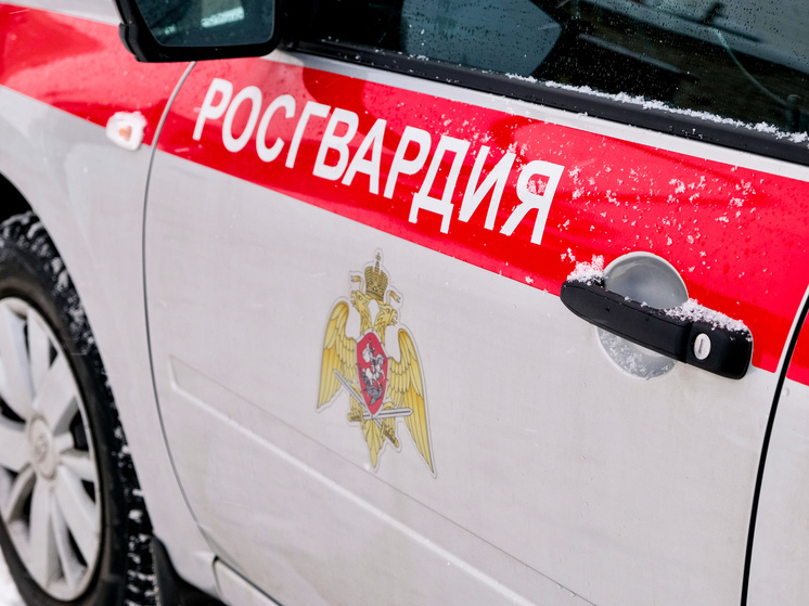 Cмоленские росгвардейцы за неделю отработали 60 административных правонарушений