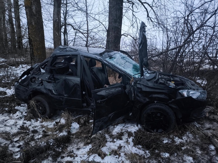 В Орловской области LADA GRANTA врезалась в дерево