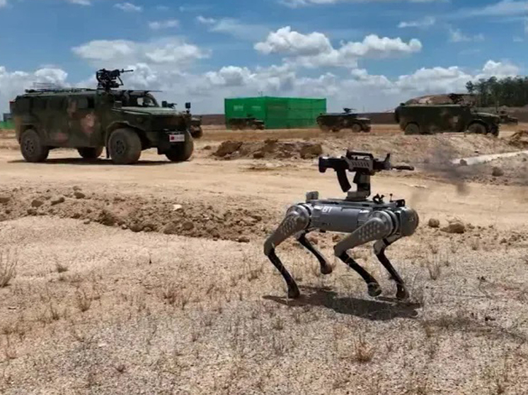 Поводы беспокоиться у американцев из-за развития робототехники Китая имеются