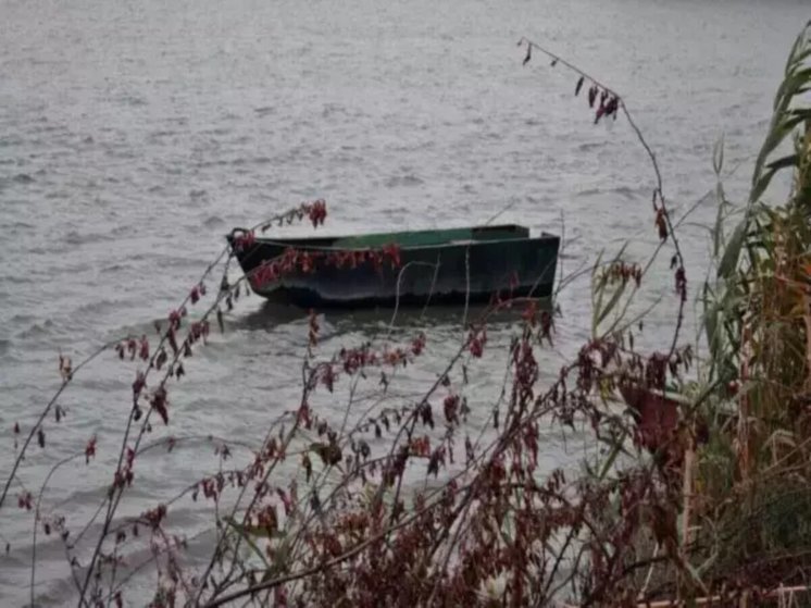 Жителей Ростовской области предупредили о понижении воды в Дону