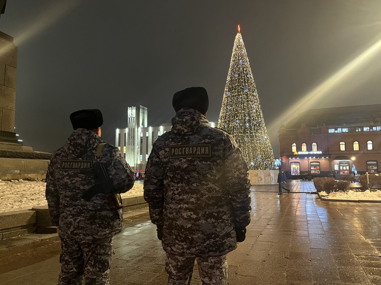 В новогодние праздники жителей Пензенской области будут охранять сотрудники Росгвардии