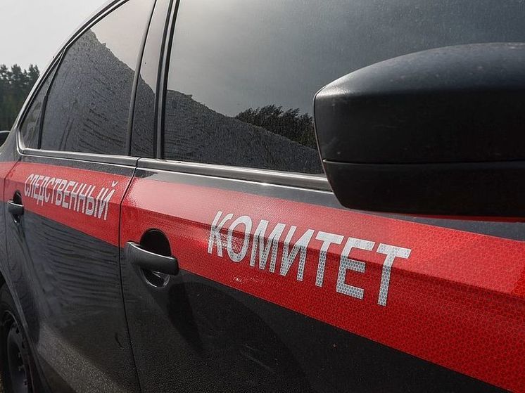 СКР предъявил обвинение экс-главам администрации президента Украины Райнину и Богдану