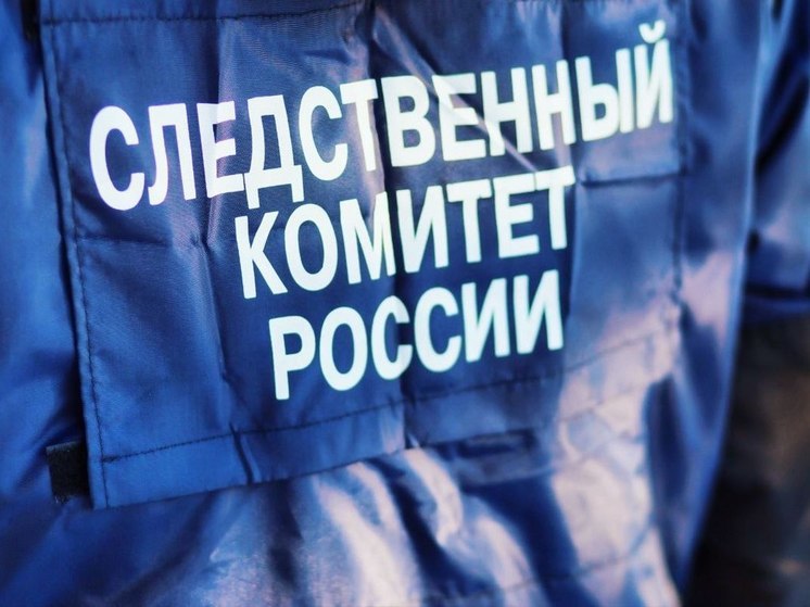 В Твери арестовали мужчину, что домогался до девочки в поезде
