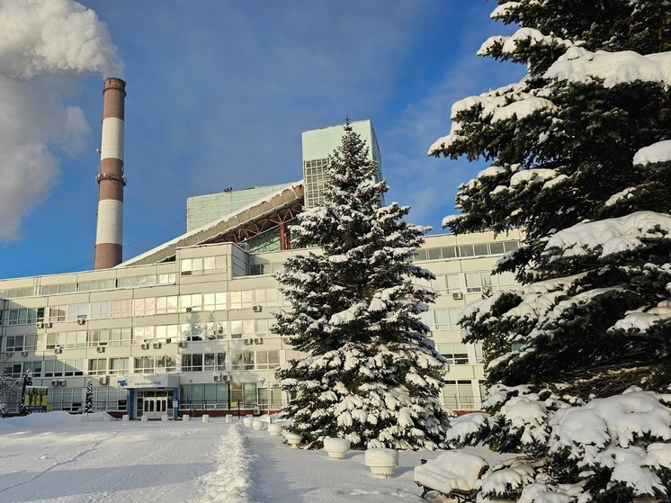 Синоптики 28 декабря предсказывают в Смоленске пасмурную погоду