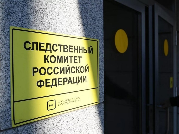 Глава СК заинтересовался содержанием объекта культурного наследия в Ельце
