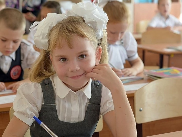 Стандарты образования Донбасса и Новороссии доведут до общероссийских норм за три года