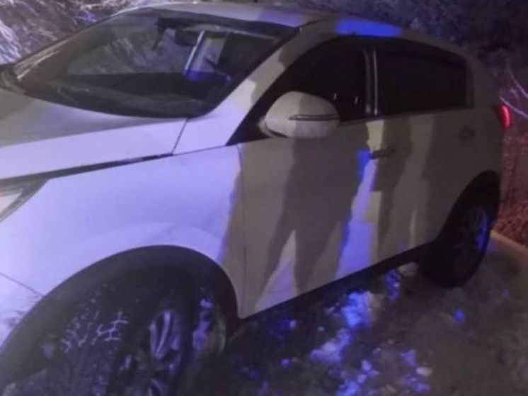 В Воскресенске автоледи чуть не рухнула в овраг с ребенком в машине