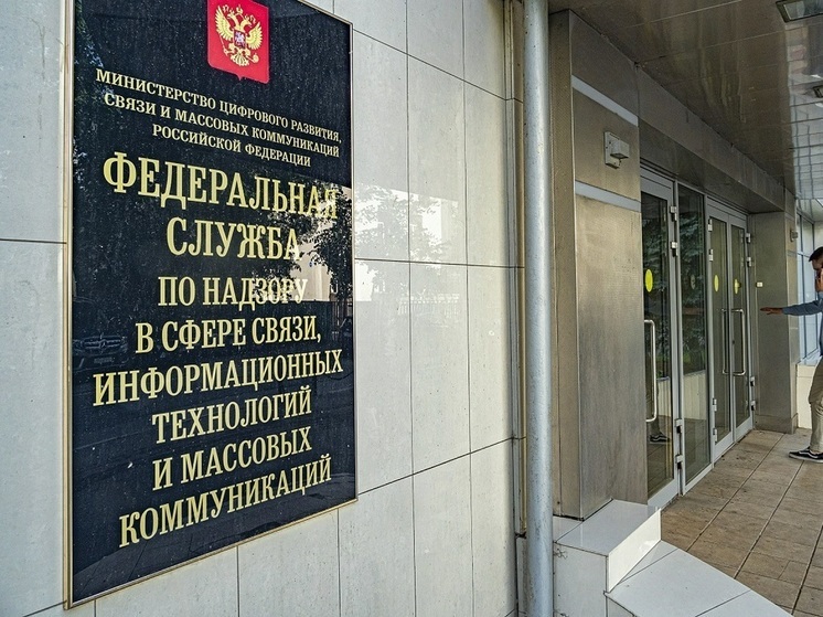 Роскомнадзор предложил критерии, по которым будет ограничиваться доступ к пропаганде чайлдфри