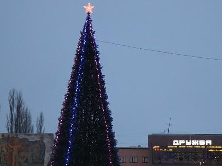 Тамбовчане смогут посетить кинозалы и концерты в рамках праздничной акции «Веди родителей в музей»