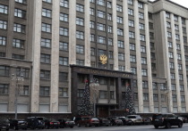 Глава Комитета Госдумы по защите семьи Нина Останина внесла в парламент законопроект о запрете пропаганды многоженства в России