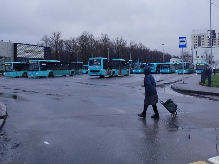 Прокуратура проверит проблему транспорта к школе в Тайцах