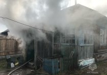 О последних пожарах рассказали в МЧС