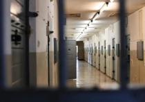 В Красноярске вынесен приговор группе, занимавшейся организацией незаконной миграции иностранных граждан