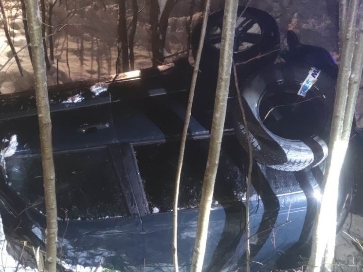 Водитель оказался в кювете на дороге в Никольском округе