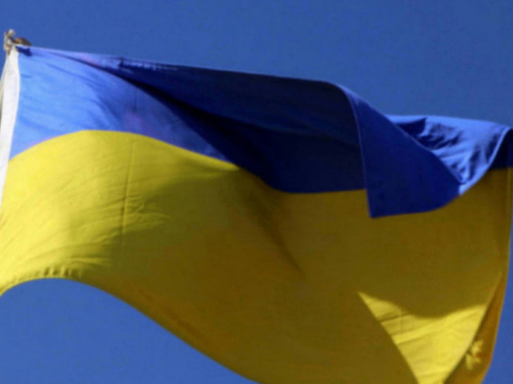 Киевская журналистка Панченко потребовала узнать, куда уходит помощь США для Украины