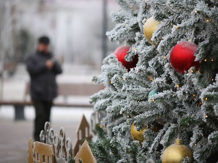 В Волгограде участились случаи мошенничества перед Новым годом