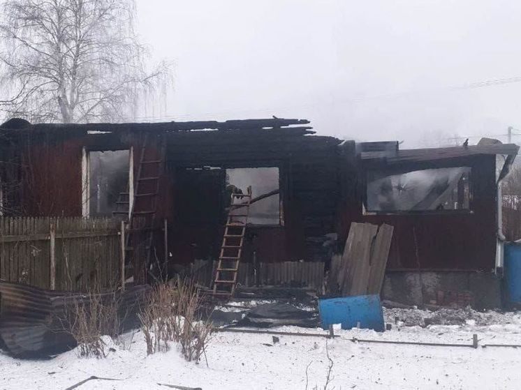Четыре человека погибли во время пожара в частном доме под Пушкино