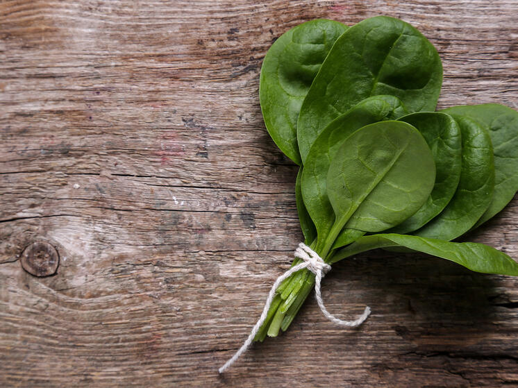 Чем стоит запасаться