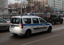 В Йошкар-Оле задержали женщину, которая по указанию мошенников, подожгла фейерверки в двух отделениях почты