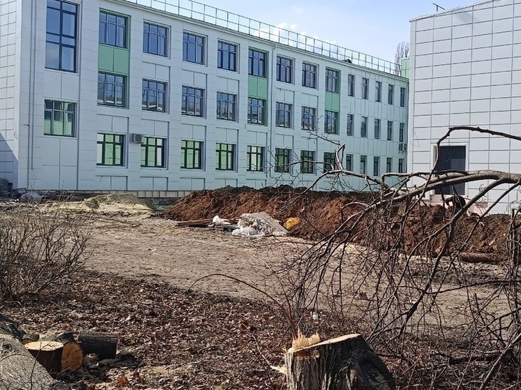 Более пятисот образовательных учреждений восстановлено в ДНР