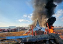 Количество погибших при крушении самолета в Южной Корее достигло 96 человек, передает РИА Новости