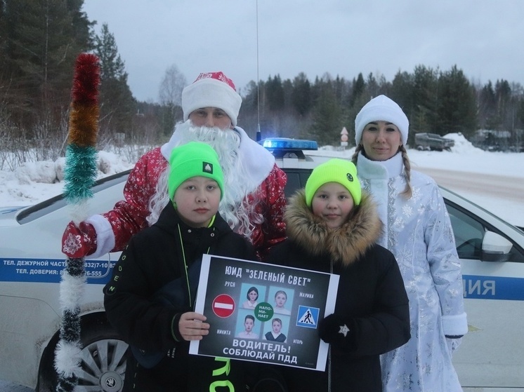 В Плесецком округе провели новогоднюю дорожную акцию