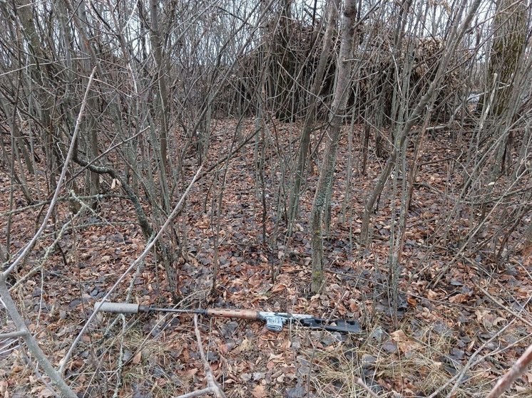 В ДНР мужчина убил таксиста из снайперской винтовки