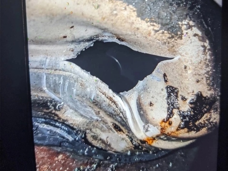 На трассе М-1 под Смоленском у фуры на ходу пробило бензобак