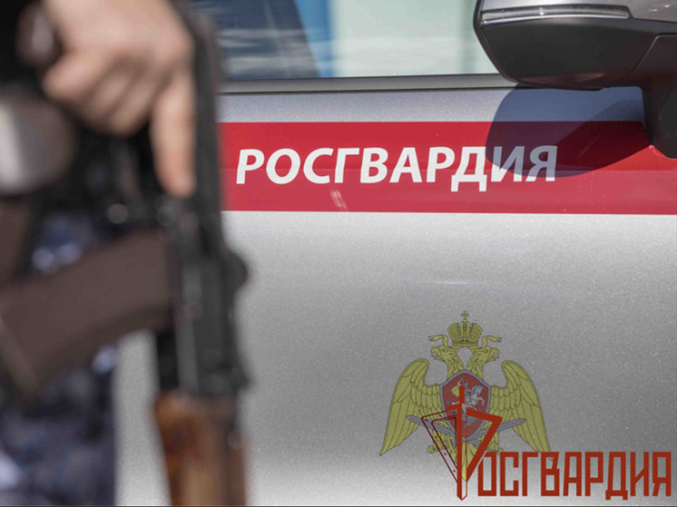 Тульские росгвардейцы за неделю выезжали на вызовы 300 раз