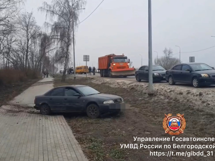 В Белгородской области в ДТП с маршруткой пострадали шесть пассажиров