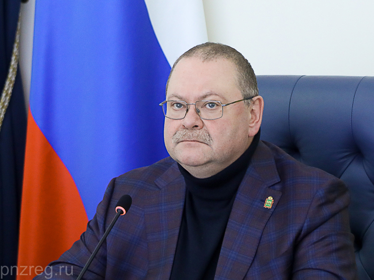Пензенский губернатор исполнил новогоднюю мечту 5-летней девочки из Запорожья