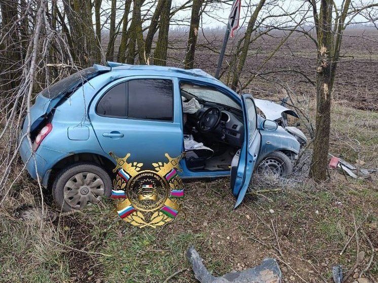 В Усть-Лабинском районе автомобилистка погибла при столкновении машины с деревом