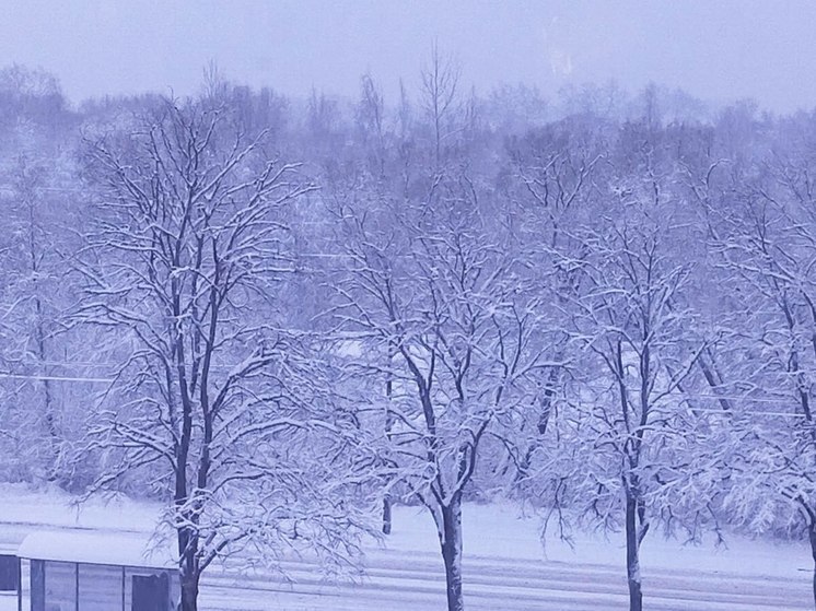 Новгородцев ждет мороз и снег на Новый год